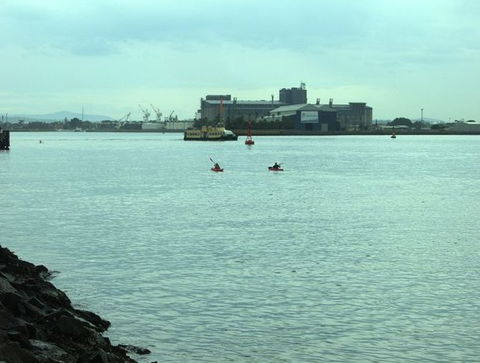 Newcastle Kayak Tours - Accommodation Batemans Bay 5