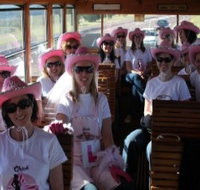 Newcastles Famous Tram - Accommodation Batemans Bay