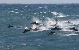  Accommodation Batemans Bay