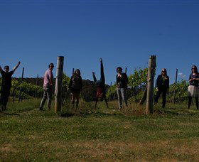 Grape Escape - Accommodation Batemans Bay 3