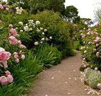 Ross Garden Tours - Accommodation Batemans Bay