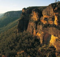 Blue Mountains Mountain Bike Adventure Tour - Accommodation Batemans Bay
