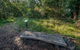Browns Forest Loop Trail - thumb 0