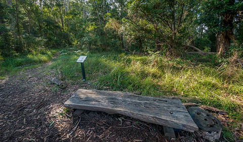 Browns Forest Loop Trail - Accommodation Batemans Bay 0