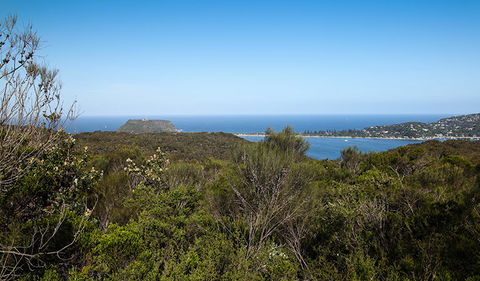 Aboriginal Heritage Walk - Accommodation Batemans Bay 1