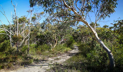 Aboriginal Heritage Walk - Accommodation Batemans Bay 2