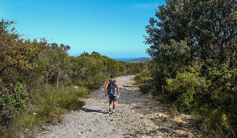 Aboriginal Heritage Walk - Accommodation Batemans Bay 3