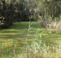 Second Ponds Creek walk - Accommodation Batemans Bay