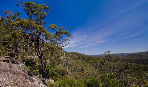 Marramarra National Park - Accommodation Batemans Bay 1