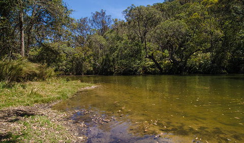 Marramarra National Park - Accommodation Batemans Bay 2