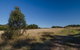 Scheyville Horse Riding Trails - thumb 0