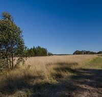 Scheyville horse riding trails - Accommodation Batemans Bay