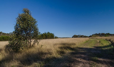 Scheyville Horse Riding Trails - Accommodation Batemans Bay 0