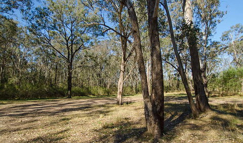 Scheyville Horse Riding Trails - Accommodation Batemans Bay 1
