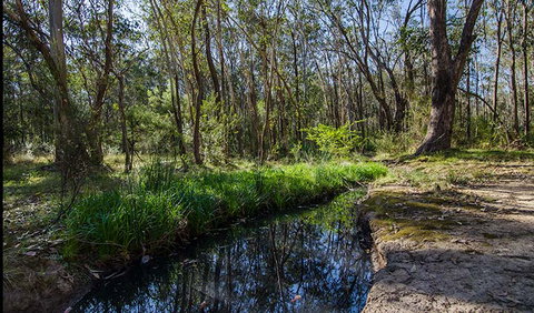 Scheyville Horse Riding Trails - Accommodation Batemans Bay 2