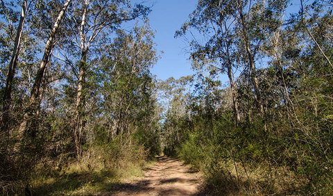 Scheyville Horse Riding Trails - Accommodation Batemans Bay 3