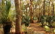 Bouddi National Park - thumb 1