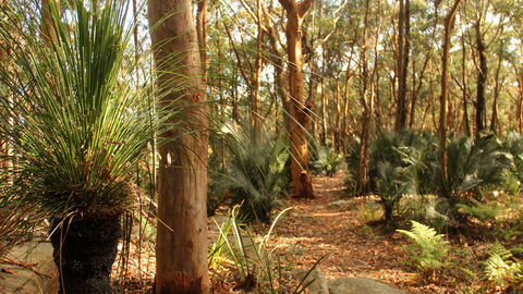 Bouddi National Park - Accommodation Batemans Bay 1