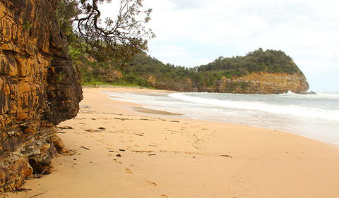 Bouddi Coastal Walk - Accommodation Batemans Bay 1