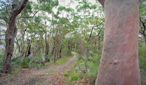 Strom Loop - Accommodation Batemans Bay 3