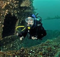 Ex-Hmas Adelaide Dive Site - Accommodation Batemans Bay