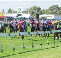 Morphettville Racecourse - Accommodation Batemans Bay