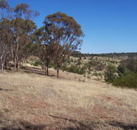 Onkaparinga River National Park - Accommodation Batemans Bay