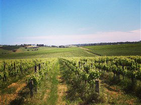 Adelaide Winemakers - Accommodation Batemans Bay 0