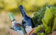 Gemtree Wines Sustainable Cellar Door - thumb 0