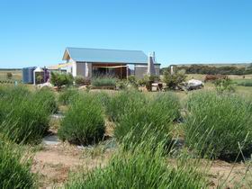 Emu Bay Lavender - Accommodation Batemans Bay 1