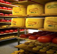 Alexandrina Cheese Company - Accommodation Batemans Bay