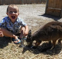 Animal Farm Goolwa - Accommodation Batemans Bay