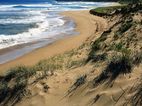 Waitpinga SA Accommodation Batemans Bay