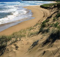 Newland Head Conservation Park - Accommodation Batemans Bay