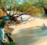 Charleville - Ward River Fishing Spot - Accommodation Batemans Bay