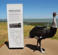 Birdman of the Coorong - Accommodation Batemans Bay