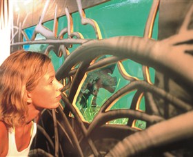 Window On The Wetlands - Accommodation Batemans Bay 1