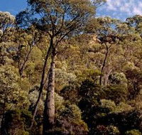 Ka Ka Mundi Carnarvon National Park - Accommodation Batemans Bay