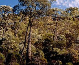 Ka Ka Mundi, Carnarvon National Park - Accommodation Batemans Bay 0