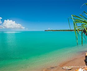 Paul Arnold Gallery - Accommodation Batemans Bay 4