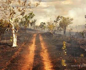 Paul Arnold Gallery - Accommodation Batemans Bay 5