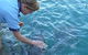 Aquascene - thumb 2