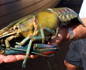 Fairbairn Dam, Lake Maraboon - Accommodation Batemans Bay 3