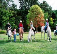 Limestone Coast Horseriding - Accommodation Batemans Bay