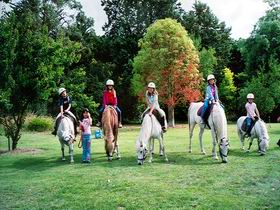 Limestone Coast Horseriding - Accommodation Batemans Bay 0