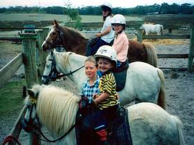Limestone Coast Horseriding - Accommodation Batemans Bay 1
