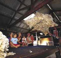 Shear Outback the Australian Shearers Hall of Fame - Accommodation Batemans Bay