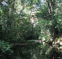 Misty Mountains Wilderness Walking Tracks - Accommodation Batemans Bay