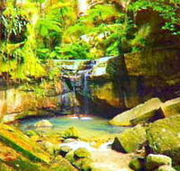 Carnarvon Gorge Carnarvon National Park - Accommodation Batemans Bay
