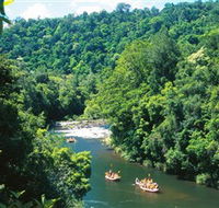 Tully Gorge National Park - Accommodation Batemans Bay